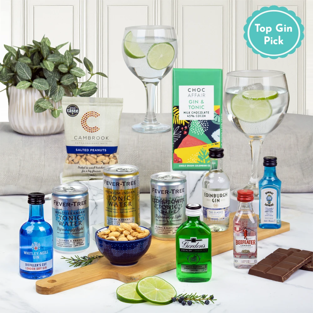 gin miniatures variety gift set with mixers and snacks